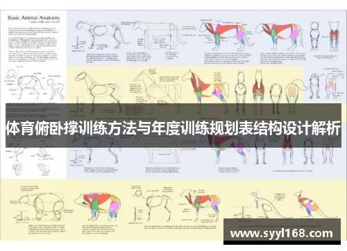 体育俯卧撑训练方法与年度训练规划表结构设计解析