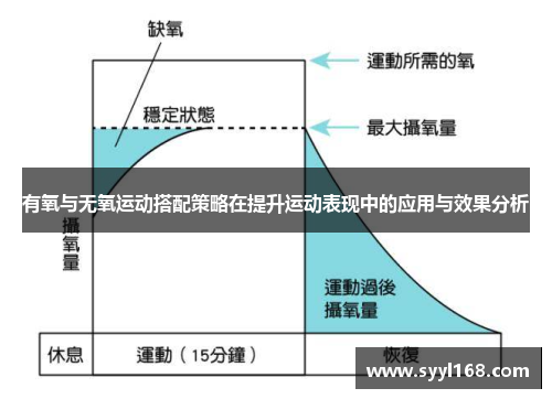 有氧与无氧运动搭配策略在提升运动表现中的应用与效果分析